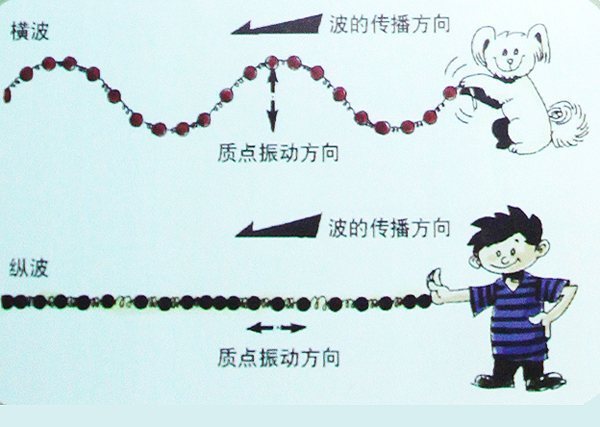 地震的横波与纵波的区别