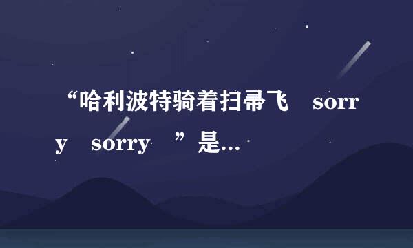 “哈利波特骑着扫帚飞 sorry sorry ”是什么歌？