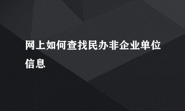 网上如何查找民办非企业单位信息