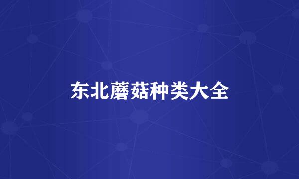 东北蘑菇种类大全