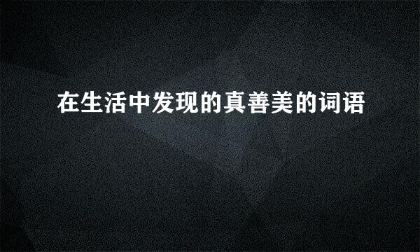 在生活中发现的真善美的词语