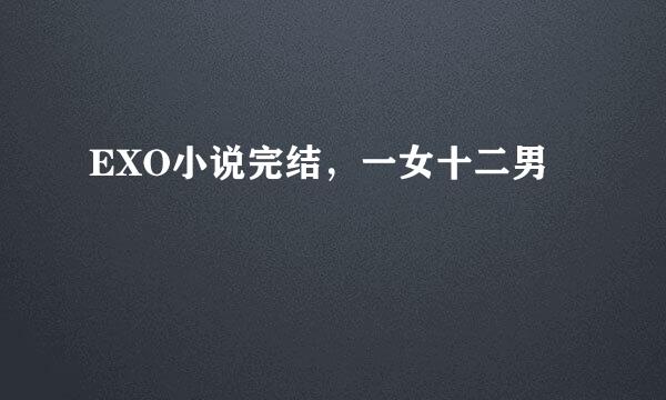 EXO小说完结，一女十二男