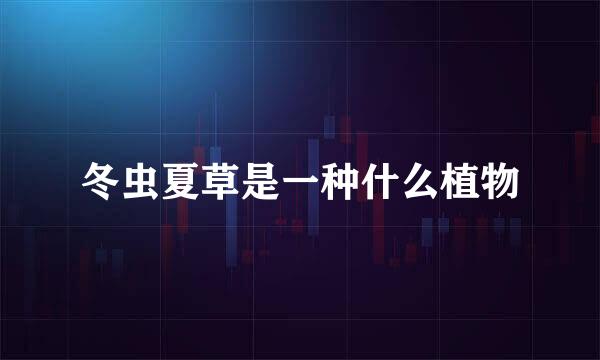 冬虫夏草是一种什么植物