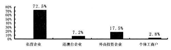 新经济组织的新经济组织分类