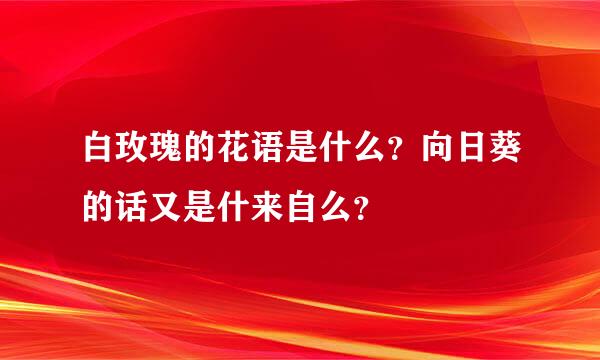 白玫瑰的花语是什么？向日葵的话又是什来自么？