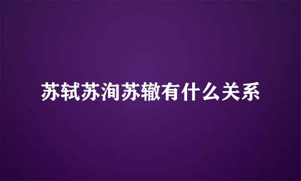 苏轼苏洵苏辙有什么关系