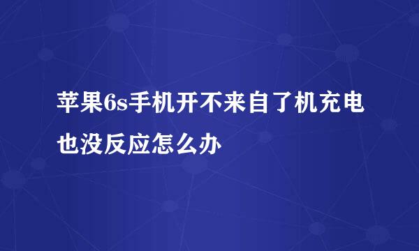 苹果6s手机开不来自了机充电也没反应怎么办