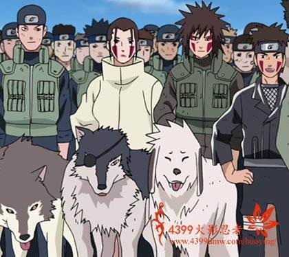 犬冢一族的犬来自冢一族简介