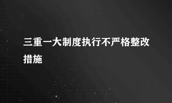 三重一大制度执行不严格整改措施