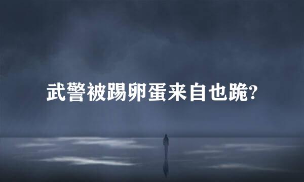武警被踢卵蛋来自也跪?