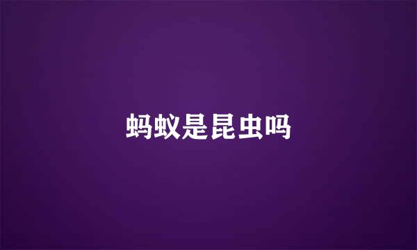 蚂蚁是昆虫吗