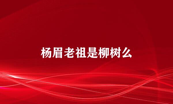 杨眉老祖是柳树么