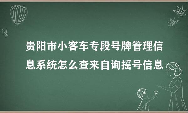 贵阳市小客车专段号牌管理信息系统怎么查来自询摇号信息