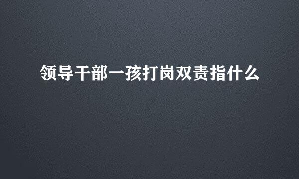 领导干部一孩打岗双责指什么