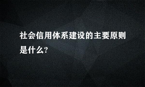 社会信用体系建设的主要原则是什么?