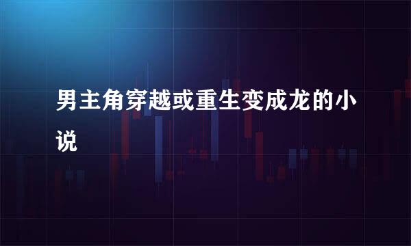 男主角穿越或重生变成龙的小说