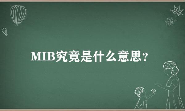 MIB究竟是什么意思？