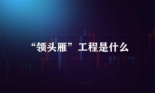 “领头雁”工程是什么