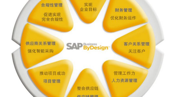 SAP和技止跑雨载伤策巴穿响ERP有什么区别？