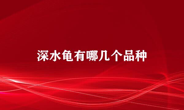 深水龟有哪几个品种