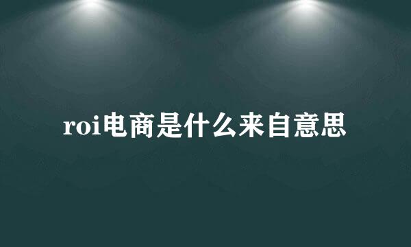 roi电商是什么来自意思