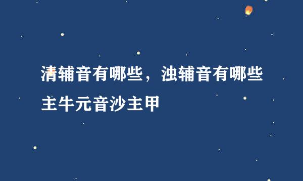 清辅音有哪些，浊辅音有哪些主牛元音沙主甲