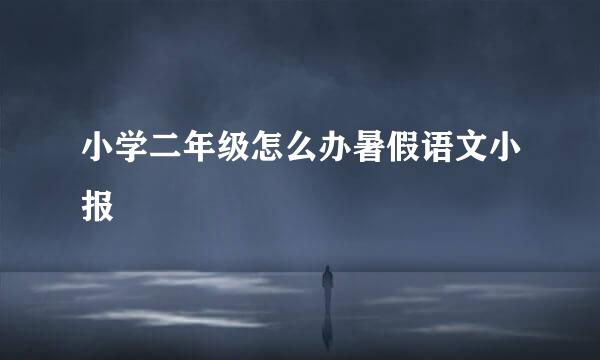 小学二年级怎么办暑假语文小报