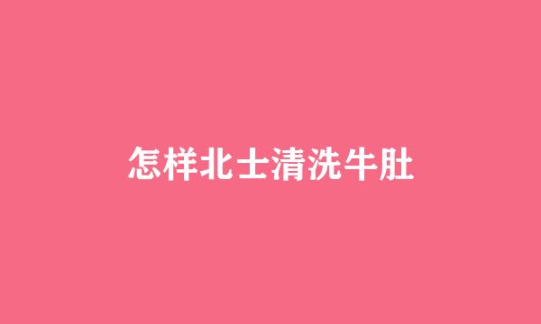 怎样北士清洗牛肚