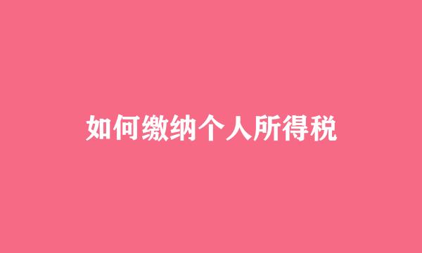 如何缴纳个人所得税