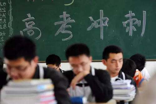 东北石油大学秦皇岛分校专升本比率是多少