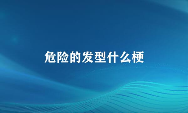 危险的发型什么梗