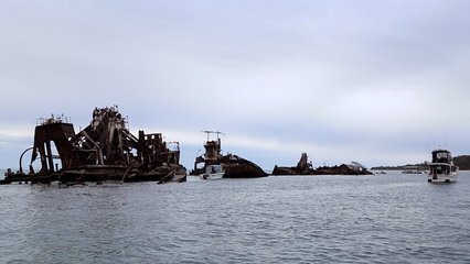 蓝色的海豚岛主要内容是什么