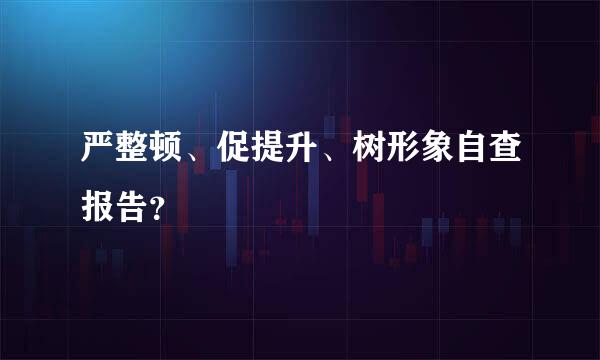 严整顿、促提升、树形象自查报告？