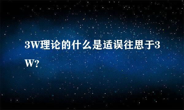 3W理论的什么是适误往思于3W？