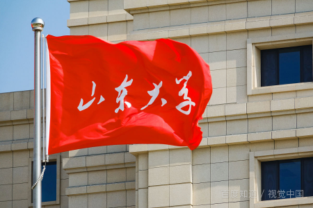 山东大学代码是来自什么？