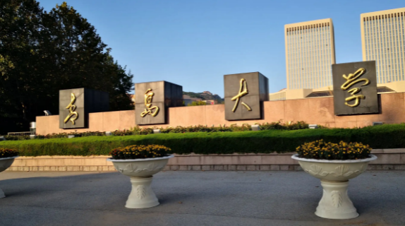 青岛大学代码及专业代码