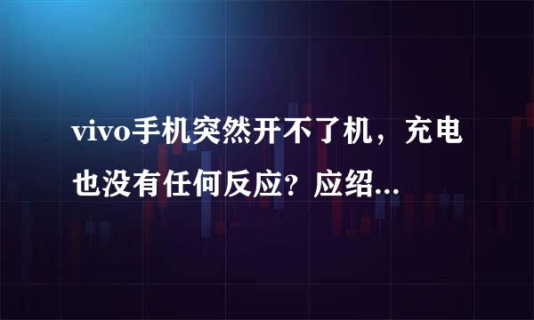 vivo手机突然开不了机，充电也没有任何反应？应绍已友载消影强论