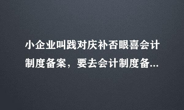 小企业叫践对庆补否眼喜会计制度备案，要去会计制度备案，应该怎么填？