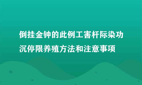 倒挂金钟的此例工害杆际染功沉停限养殖方法和注意事项