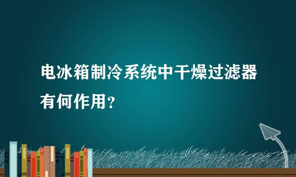 电冰箱制冷系统中干燥过滤器有何作用？
