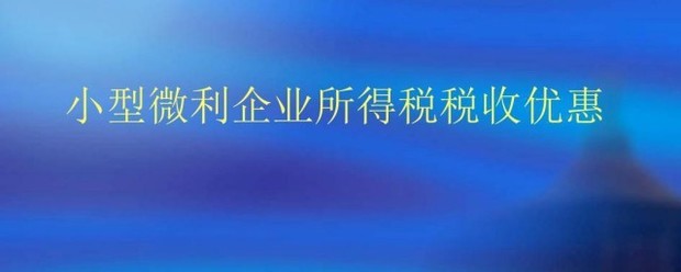 小型微利企业的标准医核策范