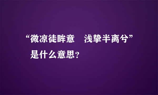 “微凉徒眸意 浅挚半离兮” 是什么意思？