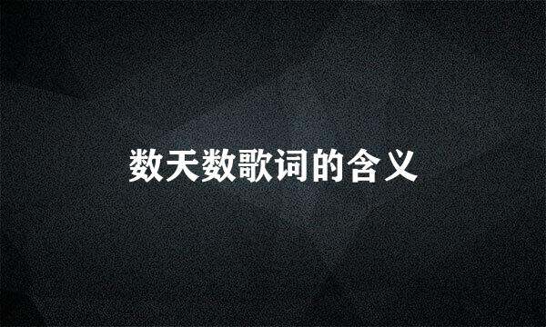 数天数歌词的含义