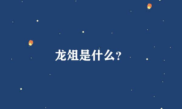 龙俎是什么？