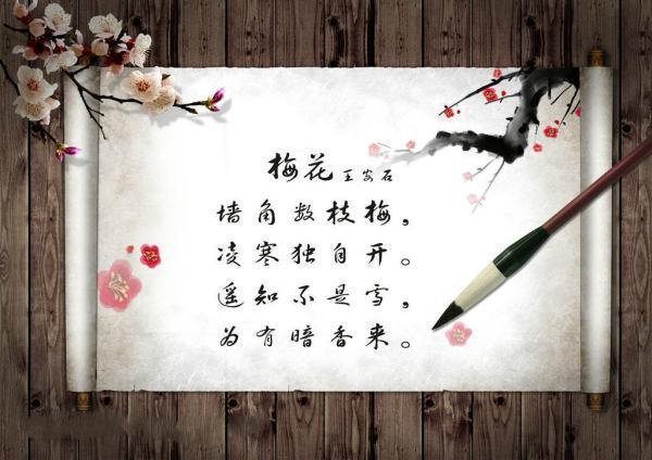 在文章中引用诗句的作用是什么？