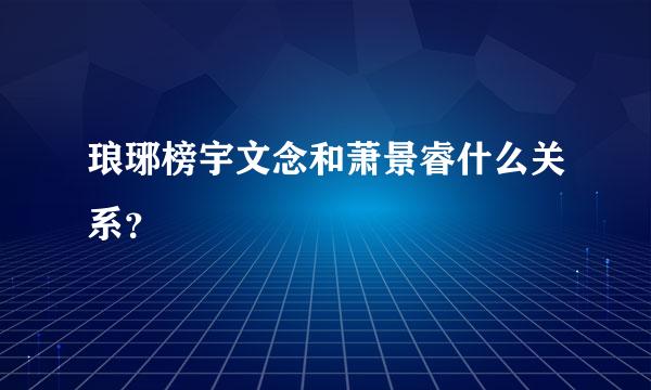 琅琊榜宇文念和萧景睿什么关系？