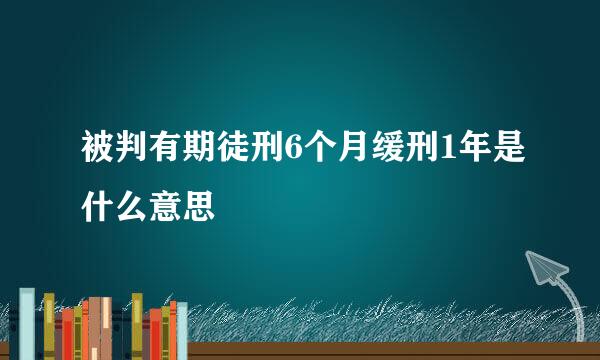 被判有期徒刑6个月缓刑1年是什么意思