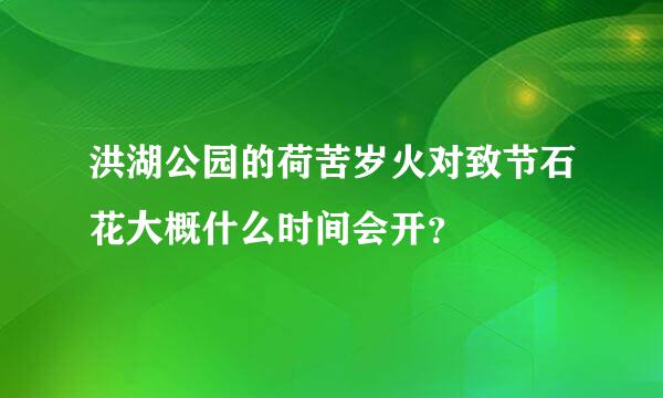 洪湖公园的荷苦岁火对致节石花大概什么时间会开？