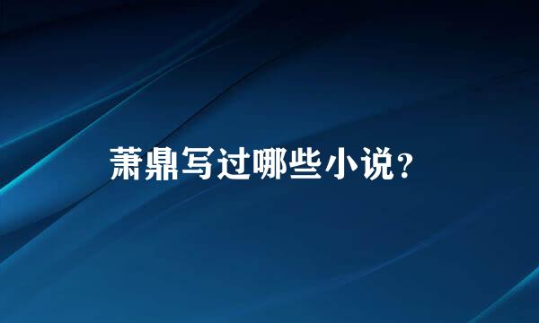 萧鼎写过哪些小说？