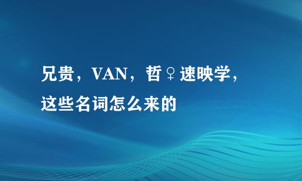 兄贵，VAN，哲♀速映学，这些名词怎么来的